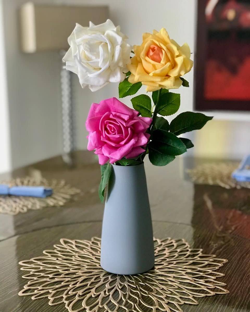 Individual PVC para mesa de comedor